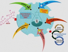 A review on research advances in efficient approaches to augment hydrothermal techniques for starch functionalization: Mechanisms, properties and potential food applications
