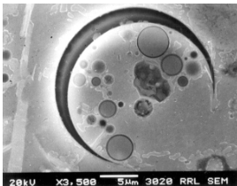 Chemical Image