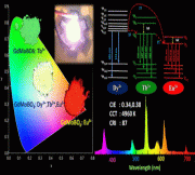 Well-Organized Single White-Emitting GdMoBO6:Eu3+, Tb3+, Dy3+/Bi3+ Phosphors Enabled by the Energy Transfer Process for White LED-Based Indoor Lighting