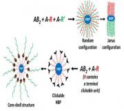 Revisiting AB2 + A-R copolymerization: direct access to Janus and peripherally clickable hyperbranched polyesters
