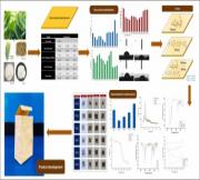 Tailoring the properties of natural fibre biocomposite using chitosan and silk fibroin coatings for eco-friendly packaging