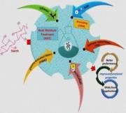 A review on research advances in efficient approaches to augment hydrothermal techniques for starch functionalization: Mechanisms, properties and potential food applications