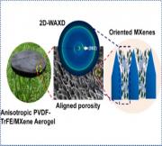 Anisotropic Poly(vinylidene fluoride-co-trifluoroethylene)/MXene Aerogel-Based Piezoelectric Nanogenerator for Efficient Kinetic Energy Harvesting and Self-Powered Force Sensing Applications