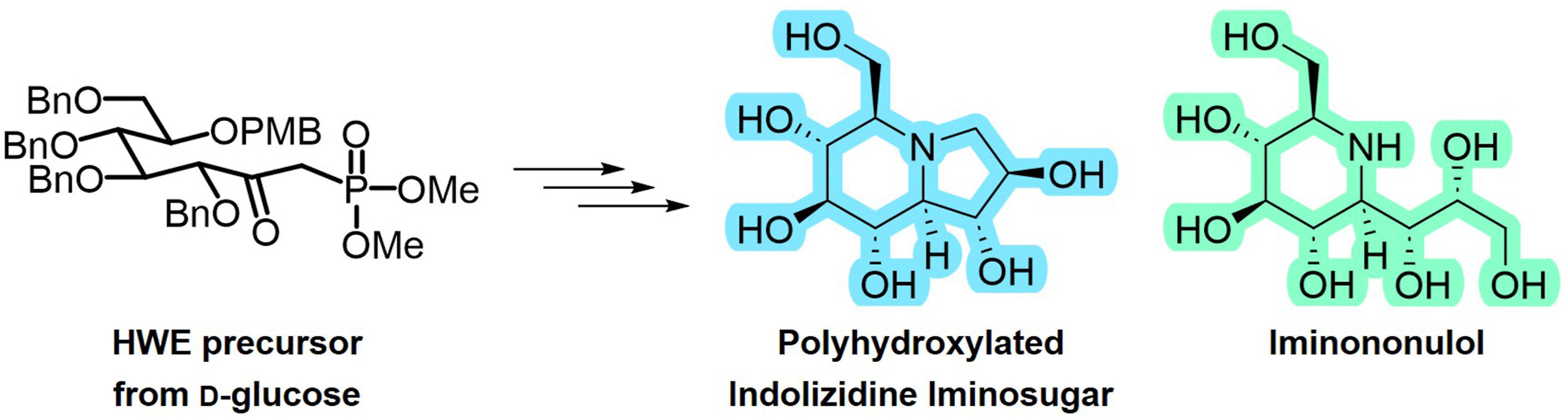 Synthetic strategy for polyhydroxylated indolizidine iminosugar from sugar-derived HWE precursor