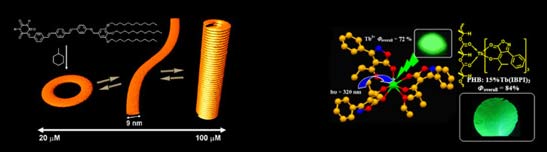 Photosciences and Photonics - Highlights research.jpg