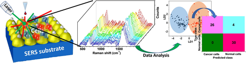 A Practical Nanoplasmonic SERS Substrate for Differential Diagnosis of Lung Normal and Cancer Cells through Multivariate Statistical Analysis