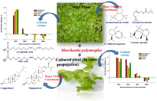 A comparative study of in vitro cytotoxicity and chemical constituents of wild and cultured plants of Marchantia polymorpha L.