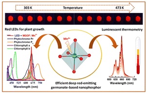 A highly efficient deep red-emitting Mn4+-powered oxyfluoride nanophosphor developed for plant growth and optical thermometric applications