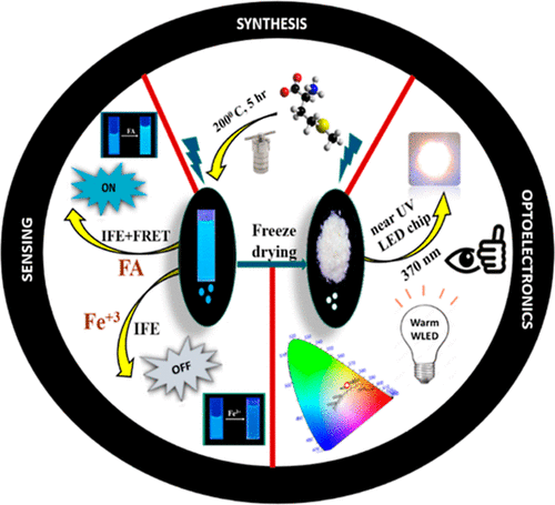 Aggregation-Induced White Light Emission and Solvent-Induced Dual Mode Multi-Analyte Sensing by Highly Crystalline Single Component Derived N, S Co-Doped Carbon Nanodots