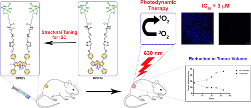 Biocompatible Aza-BODIPY-Biotin Conjugates for Photodynamic Therapy of Cancer