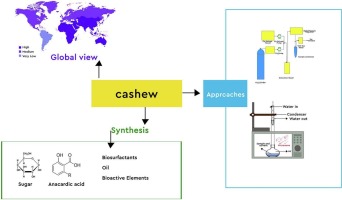 Biotechnological valorisation of cashew apple: Prospects and challenges in synthesising wide spectrum of products with market value