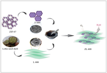 Co-Incorporated N-Doped Micro–Meso Porous Carbon as an Electrocatalyst for Oxygen Reduction Reaction and Zn–Air Battery