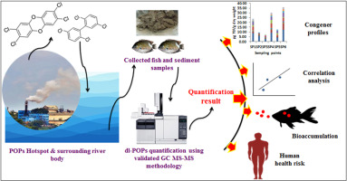 Development of a field-deployable analytical workflow for determining current status and indicative human health risks at a historic dl-POPs hotspot