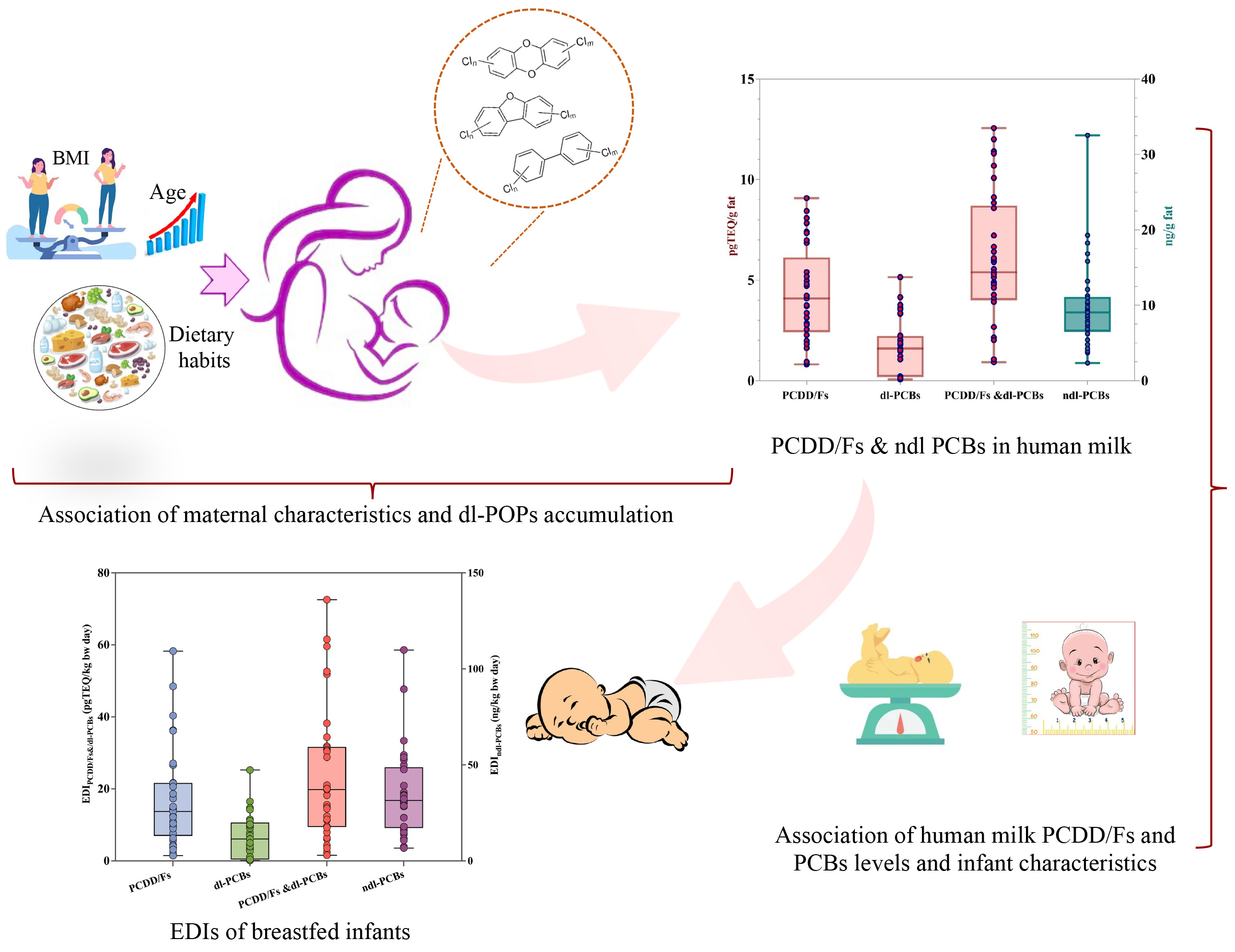 Association of Human Milk Dioxin Like-POPs Levels with Maternal Characteristics and Newborn Anthropometric Measurements: A Cross-sectional Study from Southern India