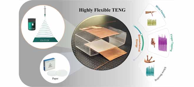 Highly Flexible Triboelectric Nanogenerator Based on PVDF Nanofibers for Biomechanical Energy Harvesting and Telerehabilitation via Human Body Movement