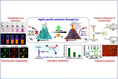 Hydrogen Sulfide-Induced Activatable Photodynamic Therapy Adjunct to Disruption of Subcellular Glycolysis in Cancer Cells by a Fluorescence-SERS Bimodal Iridium Metal–Organic Hybrid