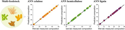 Infrared-based machine learning models for the rapid quantification of lignocellulosic multi-feedstock composition