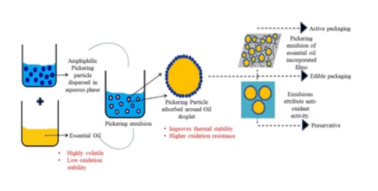 Insights into headway in essential oil-based Pickering emulsions for food applications