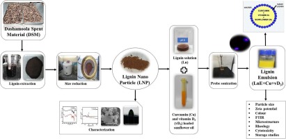 Lignin nanoparticles from Ayurvedic industry spent materials: Applications in Pickering emulsions for curcumin and vitamin D3 encapsulation