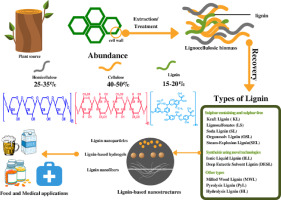 Lignin-based nanomaterials for food and pharmaceutical applications: Recent trends and future outlook