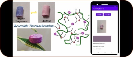 Nanocellulose-based cobalt(II) coordinated malonic acid hybrid aerogels exhibiting reversible thermochromism and moisture sensor properties