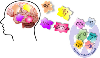Novel small molecule-based acetylcholinesterase (AChE) inhibitors: From biological perspective to recent developments