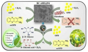 Palladium Nanoparticles Grafted onto Phytochemical Functionalized Biochar: A Sustainable Nanozyme for Colorimetric Sensing of Glucose and Glutathione