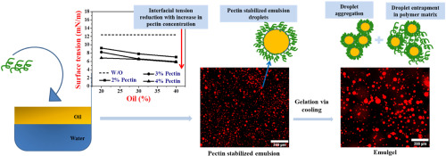 Pectin emulsions and emulgels: Bridging the correlation between rheology and microstructure
