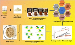 Plant-based hydrocolloids for efficient clarification of cane juices: rheological analysis and solidification studies