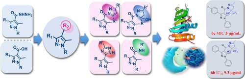 Pyrazole appended hetero-hybrids: Bioisosteric design, synthesis, in silico and in vitro antibacterial and anti-inflammatory evaluations