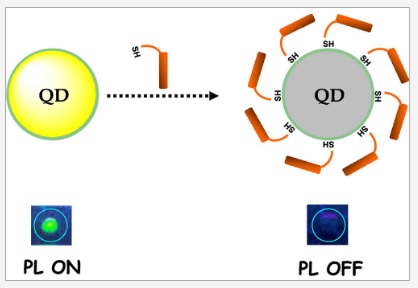 Simple and Cost-Effective Quantum Dot Chemodosimeter for Visual Detection of Biothiols in Human Blood Serum