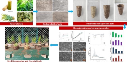 Sustainable seedling pots: Development and characterisation of banana waste and natural fibre-reinforced composites for horticultural applications