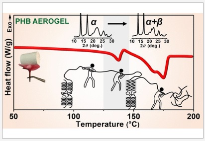 Unprecedented Thermally Induced Structural Changes in Aerogels of Poly(3-hydroxybutyrate) during Heating
