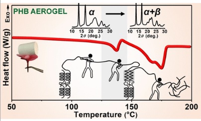 Unprecedented Thermally Induced Structural Changes in Aerogels of Poly(3-hydroxybutyrate) during Heating