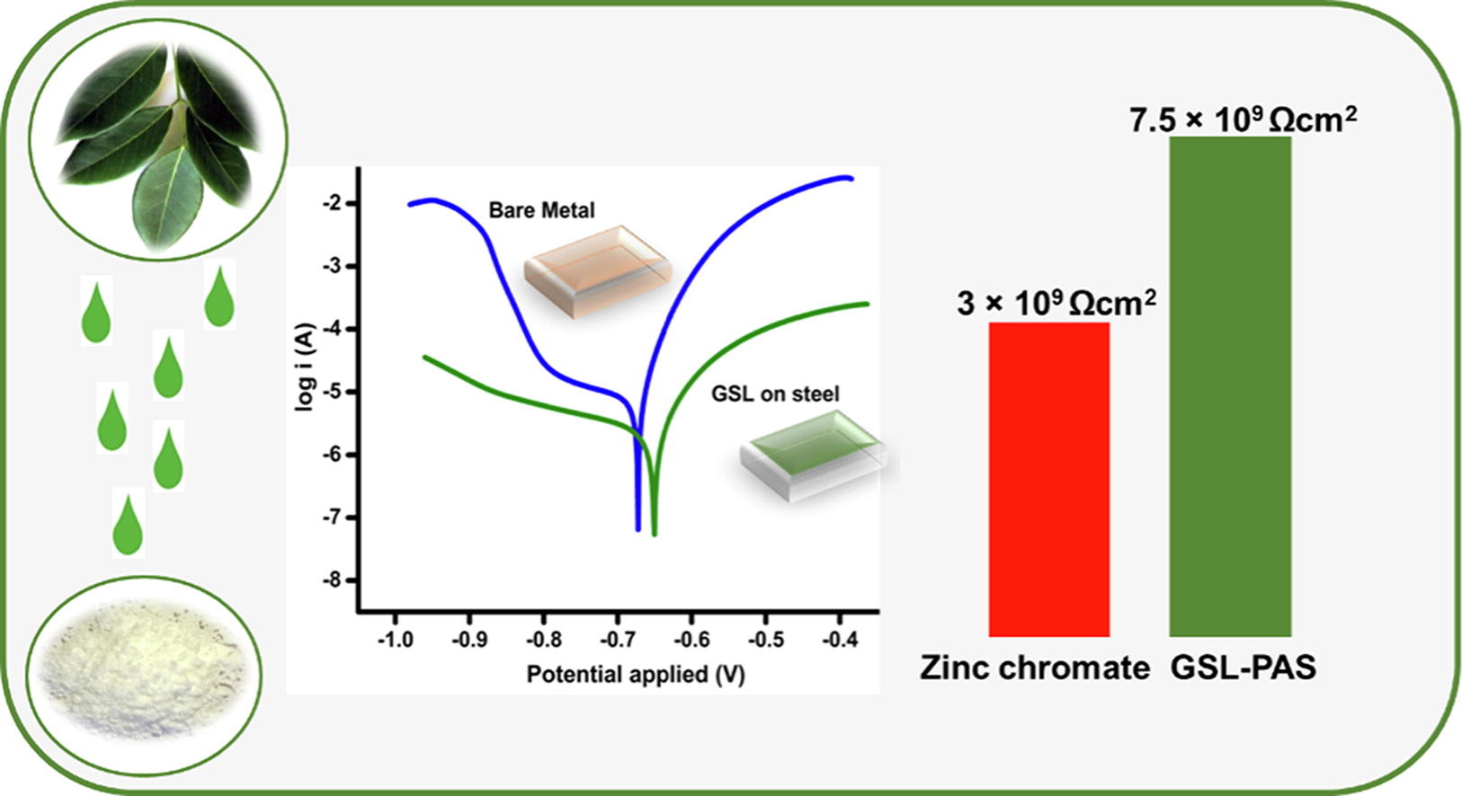 Green approach in anticorrosive coating for steel protection by Gliricidia sepium leaf extract and silica hybrid