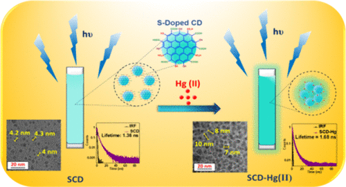 Design of Fluorescence Enhancing Sensor for Mercury Detection via Bamboo Cellulose-Derived Carbon Dots