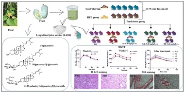 Lyophilized ash gourd (Benincasa hispida (Thunb.) Cogn.) juice alleviates diet-induced prediabetes in a rat model