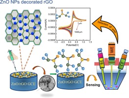 A non-enzymatic electrochemical sensor based on zinc oxide/reduced graphene oxide (ZnO/rGO) nanocomposite for effective detection of urea