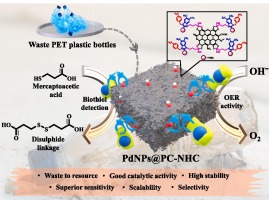 A sustainable anchoring of palladium nanoparticles on waste plastic derived functionalized robust carbon: There of application in sensing of genotoxic bio-thiol compound and oxygen evolution activity