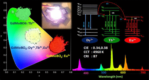 Well-Organized Single White-Emitting GdMoBO6:Eu3+, Tb3+, Dy3+/Bi3+ Phosphors Enabled by the Energy Transfer Process for White LED-Based Indoor Lighting
