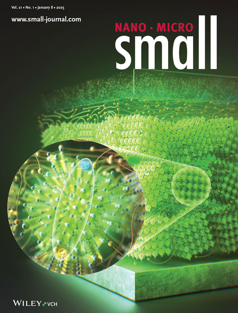 Monomers Versus Prenucleation Clusters En Route to Polymorphism of Supramolecular Polymers