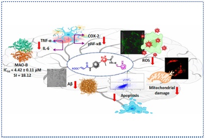 Multi-Target-Directed Triazole Derivatives: Design, Synthesis, and Evaluation of Synergistic Modulation in Alzheimer’s Disease