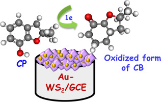 Highly sensitive detection of the hazardous insecticide carbofuran using tungsten disulfide nanosheets decorated with gold nanoparticles