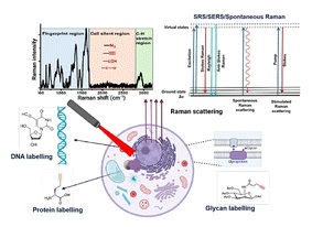 Advanced Raman assisted metabolic labelling: an impending approach for exploring metabolites in cellular biosynthetic processes