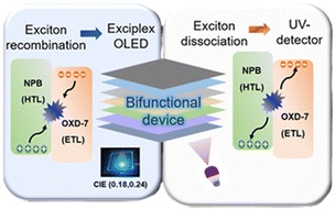 Unlocking the bifunctional potential of…