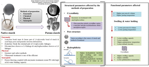 The art and science of porous starch: understanding the preparation method and structure–function relationship