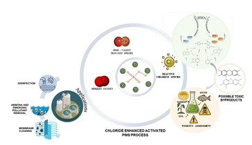 From scavenger to catalyst: the emerging role of chloride in peroxymonosulfate-based advanced oxidation processes