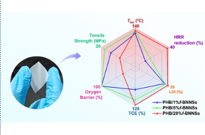 Unraveling the Influence of Phytic Acid-Modified Boron Nitride Nanosheets as a Sustainable Multifunctional Nanofiller for Poly(3-hydroxybutyrate)