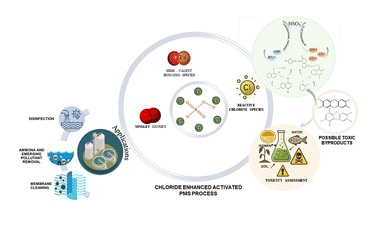 From scavenger to catalyst: the emerging role of chloride in peroxymonosulfate-based advanced oxidation processes
