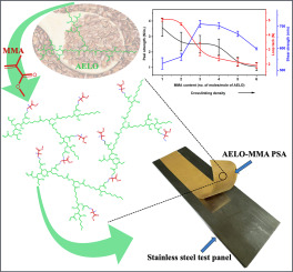 High performing biocompatible solvent-free pressure-sensitive adhesives derived from acrylated epoxidized linseed oil